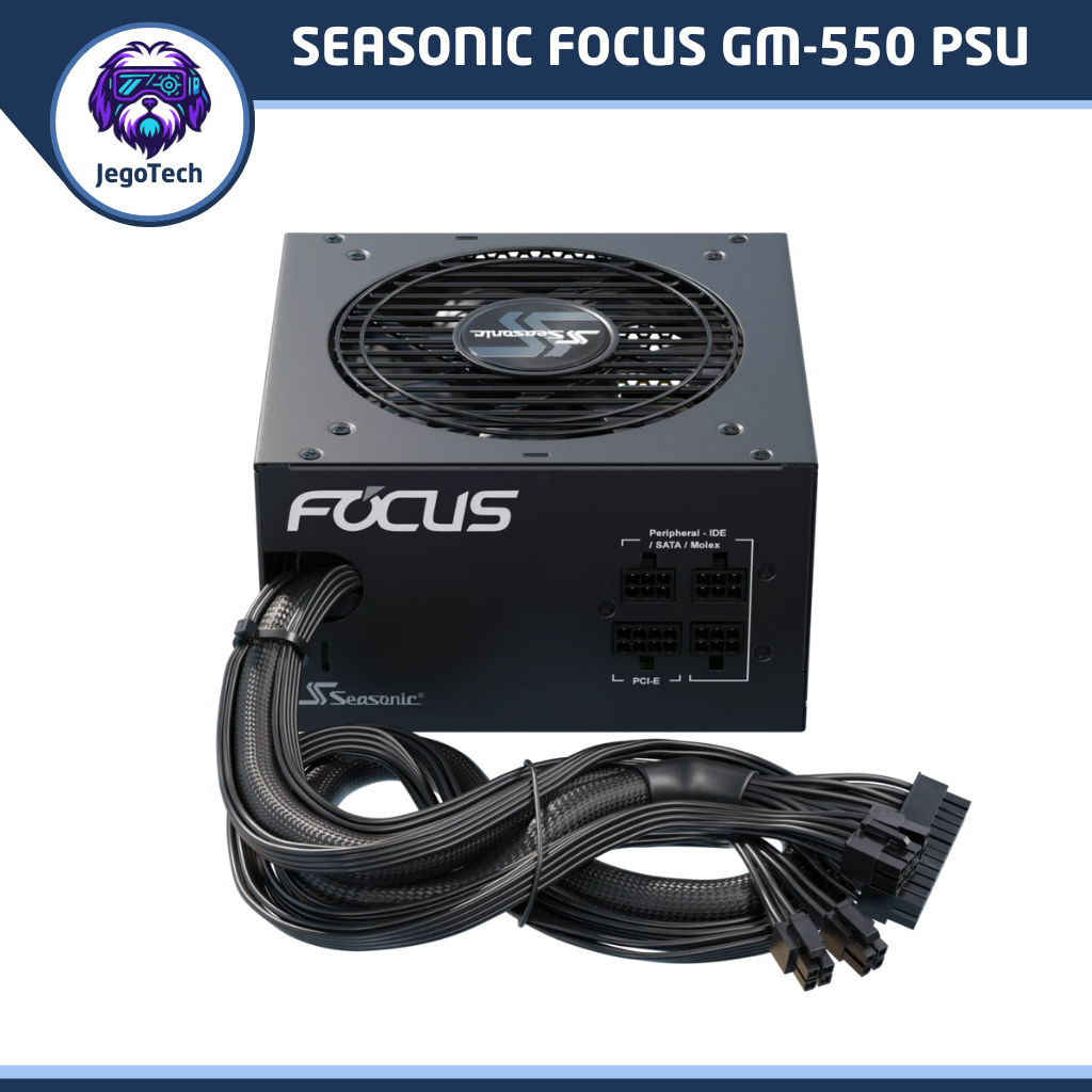 The Seasonic Focus GM-550 ATX PSU - Image 3